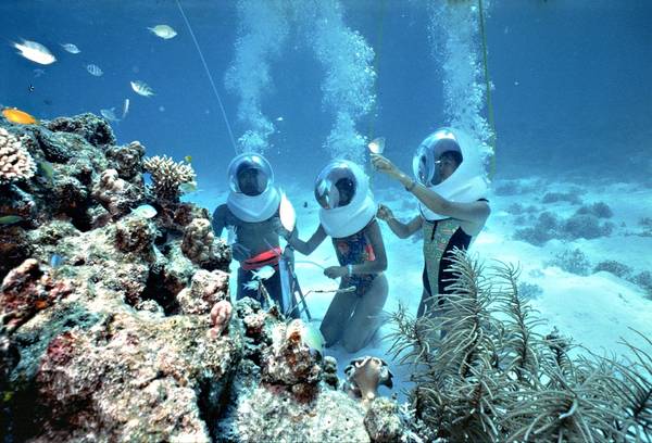 den-Pattaya-Thai-Lan-kham-pha-thien-duong-dao-san-ho-koh-larn-ivivu-7.jpg