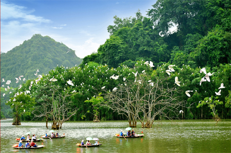 NinhBinh-ThungNham1.jpg